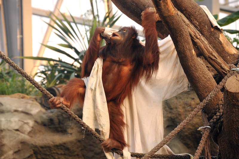 DARWINEUM im Zoo Rostock - Dem Ursprung des Lebens auf der Spur