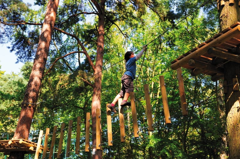 Kletterwald in Kühlungsborn - Der Kletterwald bietet viele Attraktionen an