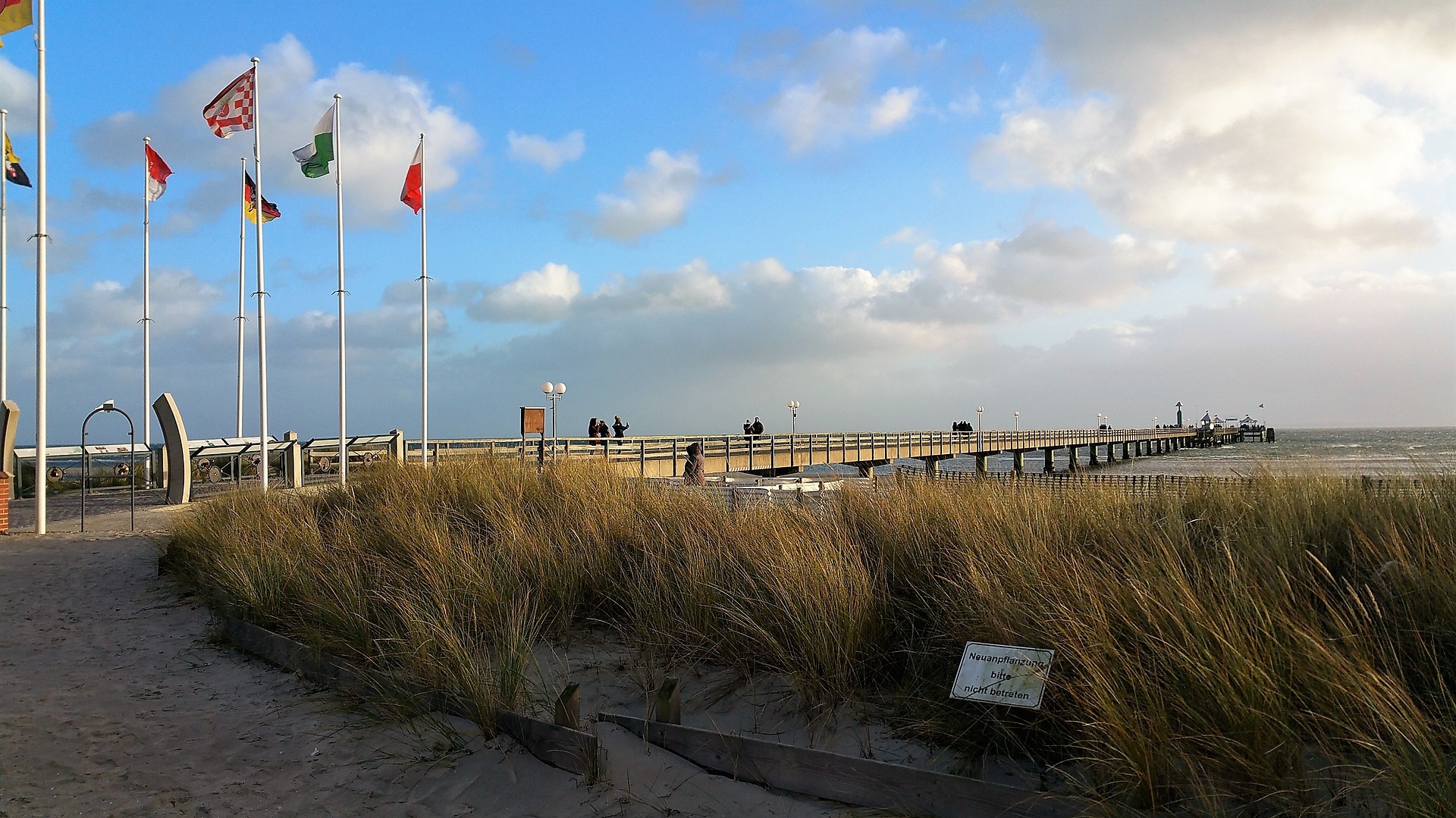 Lexikon: Pflanzenarten - Pflanzenarten in der Ostsee