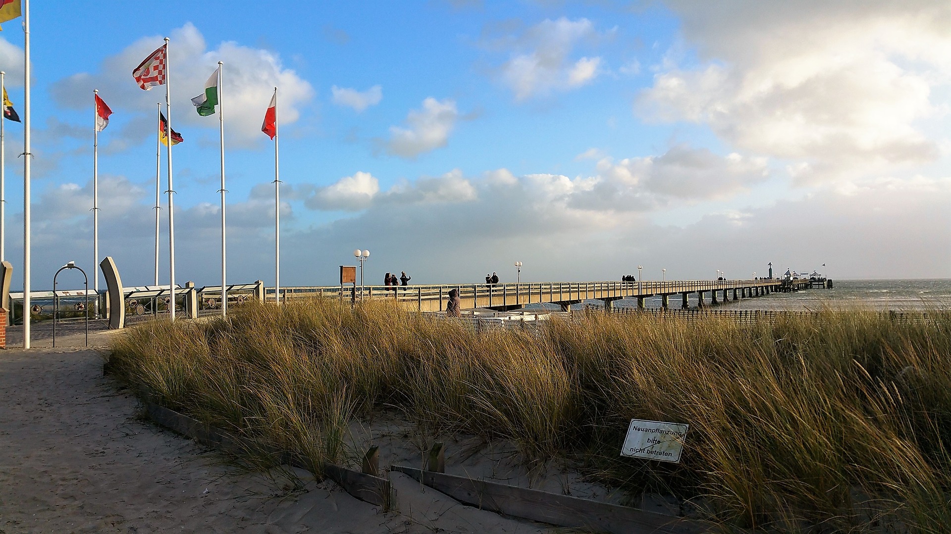 Lexikon: Pflanzenarten - Pflanzenarten in der Ostsee